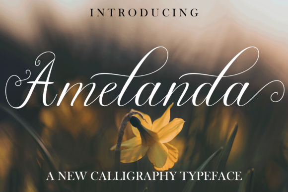 Amelanda Font for Creative Makers