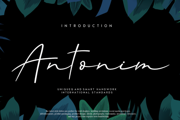 Antonim: A Delicate Script Handwritten Font for Makers