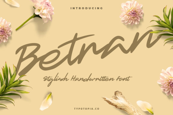 Betran: A Thick-Lettered Script Handwritten Font for Digital Design