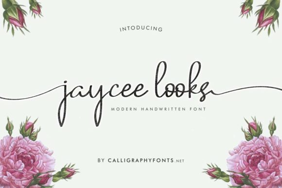 Jaycee Looks: A Delicate Script Handwritten Font for Scroll-Stopping Brand Content