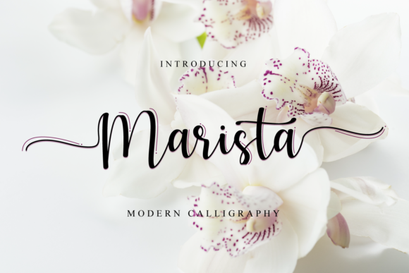 Marista Font for Elegant Branding