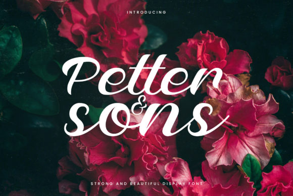 Petter and Sons: A Timeless Script Handwritten Font for Thoughtful Design